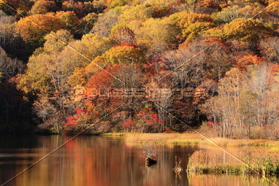 戸隠高原 紅葉の鏡池 ストックフォトの定額制ペイレスイメージズ