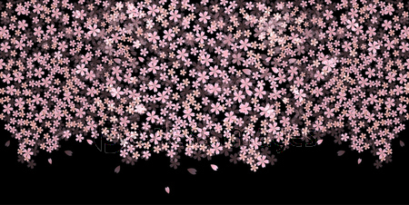 桜 夜桜 背景 ストックフォトの定額制ペイレスイメージズ