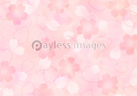 新鮮な桜 壁紙 イラスト イラスト画像