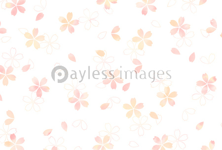 桜柄の壁紙 ストックフォトの定額制ペイレスイメージズ
