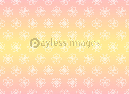 花柄壁紙 ピンク ストックフォトの定額制ペイレスイメージズ