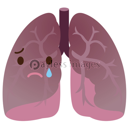 健康な肺 イラスト ストックフォトの定額制ペイレスイメージズ