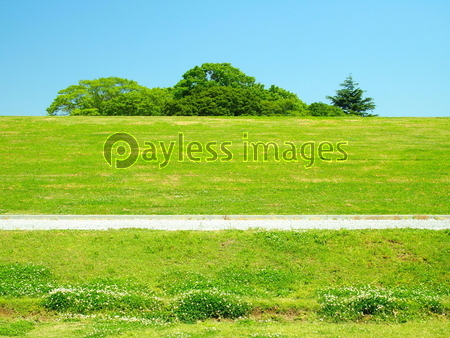 初夏の土手風景 商用利用可能な写真素材 イラスト素材ならストックフォトの定額制ペイレスイメージズ