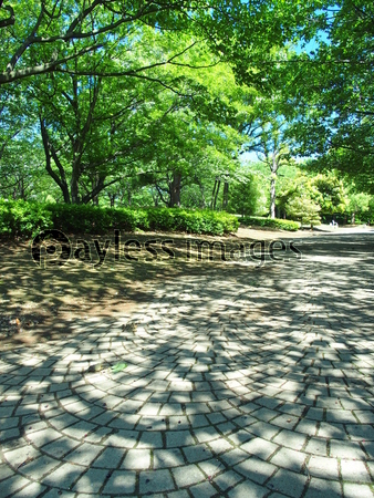 木漏れ日の公園の散策路 商用利用可能な写真素材 イラスト素材ならストックフォトの定額制ペイレスイメージズ