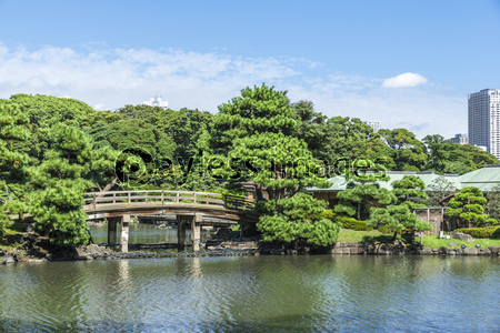 浜離宮恩賜庭園の潮入の池 ストックフォトの定額制ペイレスイメージズ