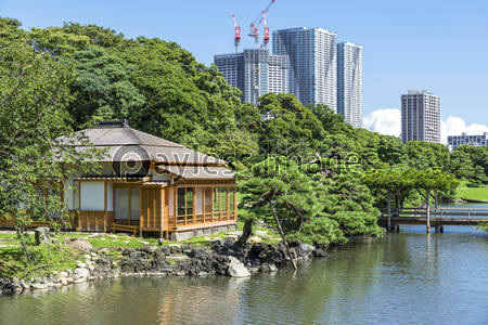 浜離宮恩賜庭園の潮入の池 ストックフォトの定額制ペイレスイメージズ