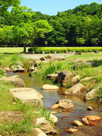 初夏の水辺風景 - 商用利用可能な写真素材・イラスト素材ならストックフォトの定額制ペイレスイメージズ