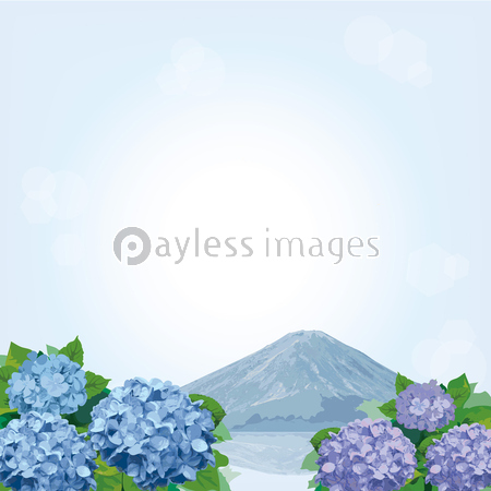 紫陽花 富士山 イラスト 商用利用可能な写真素材 イラスト素材ならストックフォトの定額制ペイレスイメージズ
