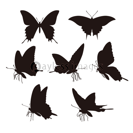 アゲハ蝶のシルエットイラスト 商用利用可能な写真素材 イラスト素材ならストックフォトの定額制ペイレスイメージズ