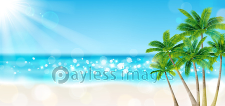 海 砂浜 太陽 ヤシの木 ストックフォトの定額制ペイレスイメージズ