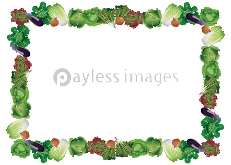 野菜フレーム 四角 レタス他 商用利用可能な写真素材 イラスト素材ならストックフォトの定額制ペイレスイメージズ