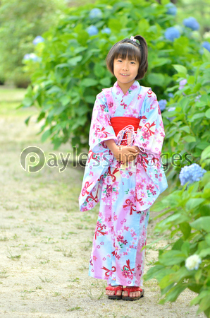 浴衣の女の子 紫陽花 商用利用可能な写真素材 イラスト素材ならストックフォトの定額制ペイレスイメージズ