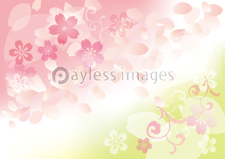 桜 ぼかしピンク 黄緑 商用利用可能な写真素材 イラスト素材ならストックフォトの定額制ペイレスイメージズ