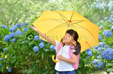 傘をさす小学生の女の子 梅雨 商用利用可能な写真素材 イラスト素材ならストックフォトの定額制ペイレスイメージズ