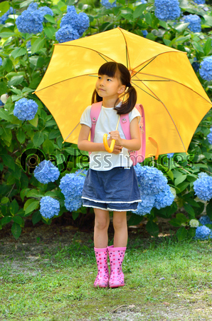 傘をさす小学生の女の子 梅雨 商用利用可能な写真素材 イラスト素材ならストックフォトの定額制ペイレスイメージズ