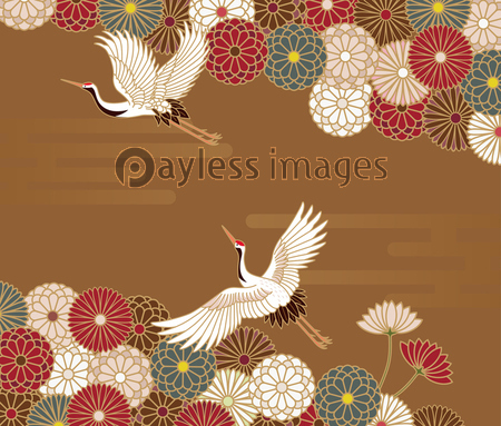 菊と鶴の伝統的な和柄 ストックフォトの定額制ペイレスイメージズ