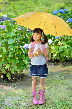 傘をさす小学生の女の子 梅雨 商用利用可能な写真素材 イラスト素材ならストックフォトの定額制ペイレスイメージズ