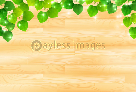 新緑 木 木目 背景 ストックフォトの定額制ペイレスイメージズ