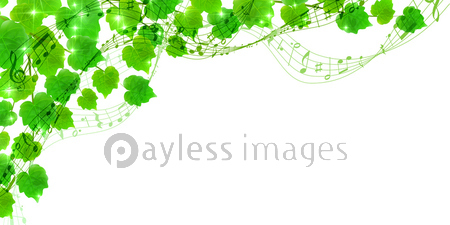 新緑 葉 緑 背景 ストックフォトの定額制ペイレスイメージズ