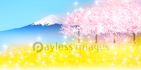桜 富士山 春 背景 ストックフォトの定額制ペイレスイメージズ