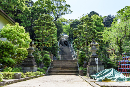 貴船神社 真鶴 参道 階段 ストックフォトの定額制ペイレスイメージズ