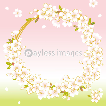 桜のリース イラスト ストックフォトの定額制ペイレスイメージズ
