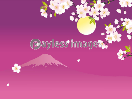 夜桜と富士山 イラスト ストックフォトの定額制ペイレスイメージズ