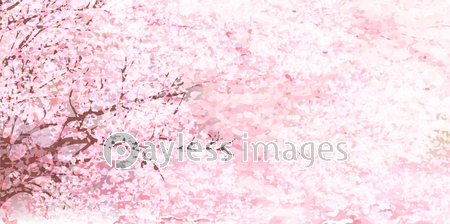 桜 花 春 背景 ストックフォトの定額制ペイレスイメージズ
