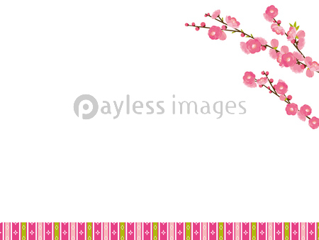 Japan Image 桃の花 イラスト 背景