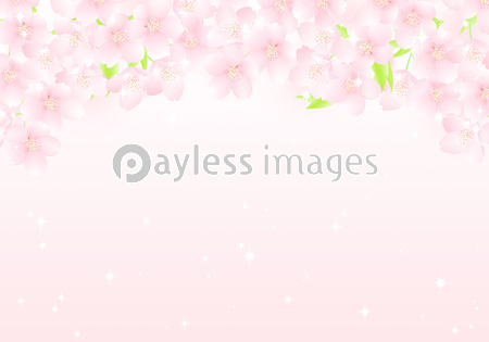 サクラの花のアーチ キラキラ イラスト 商用利用可能な写真素材 イラスト素材ならストックフォトの定額制ペイレスイメージズ