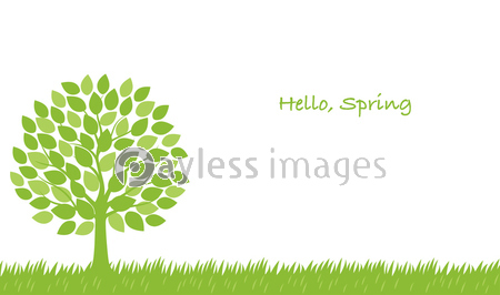 シームレスな新緑の木の背景イラスト ストックフォトの定額制ペイレスイメージズ