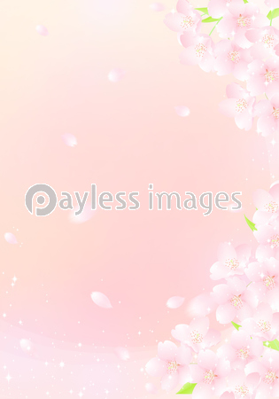 青空と桜吹雪 キラキラ イラスト ストックフォトの定額制ペイレスイメージズ