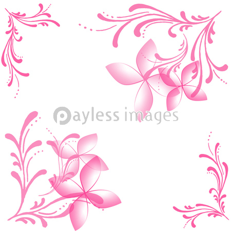 花 フレーム 花柄 枠 花模様 白バック ストックフォトの定額制ペイレスイメージズ