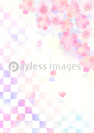 綺麗な桜 イラスト 壁紙 すべての美しい花の画像