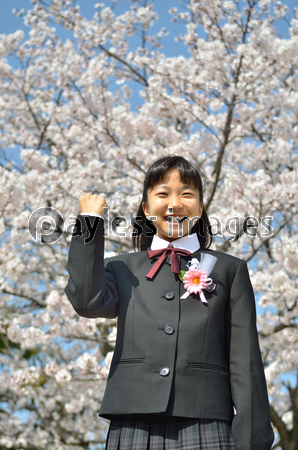 中学一年生の女の子 桜 入学 ストックフォトの定額制ペイレスイメージズ