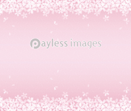 桜の和風背景イラスト 桜吹雪 ストックフォトの定額制ペイレスイメージズ
