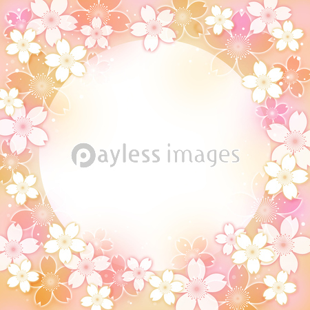 桜丸フレーム背景 ストックフォトの定額制ペイレスイメージズ