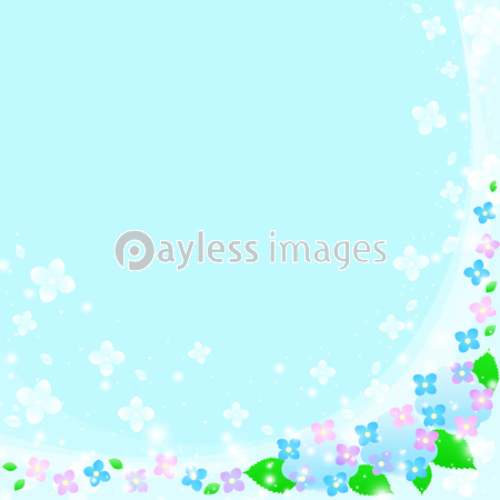 紫陽花 梅雨イメージの写真 イラスト素材 Xf1995264069 ペイレス