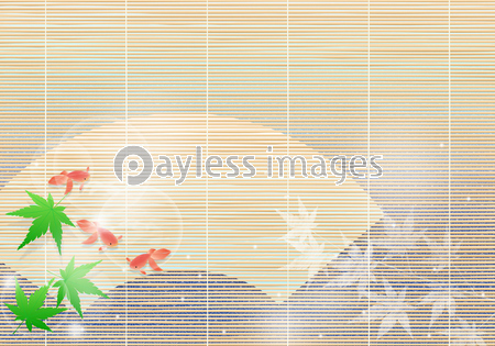 涼しげな青紅葉と金魚 和イメージの写真 イラスト素材 Xf ペイレスイメージズ