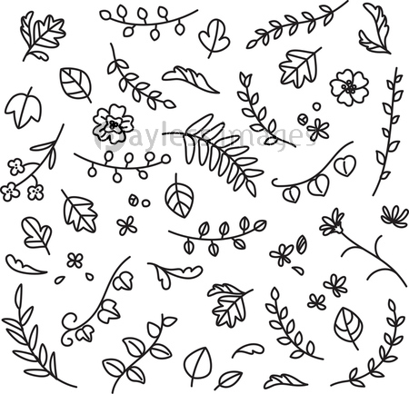 植物 葉 花の手描きイラスト 商用利用可能な写真素材 イラスト素材ならストックフォトの定額制ペイレスイメージズ