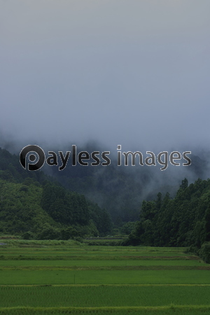 雨の田園風景の写真 イラスト素材 Xf6125280347 ペイレスイメージズ