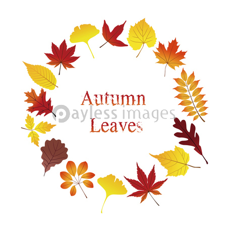 紅葉のリース カラフルな秋の葉 ストックフォトの定額制ペイレス