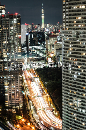 シーサイドトップ 世界貿易センタービルの展望台 からの風景 ストックフォトの定額制ペイレスイメージズ
