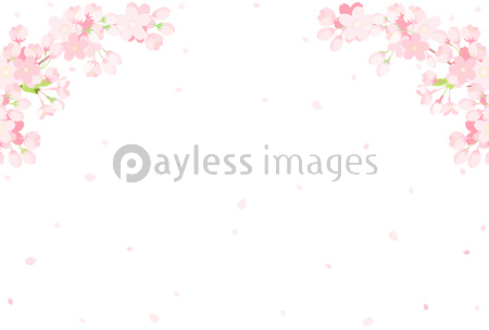 サクラの花のアーチ キラキラ イラスト ストックフォトの定額制ペイレスイメージズ