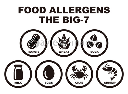 食物アレルギー誘発物質 特定原材料主要７品目 アイコンイラスト ストックフォトの定額制ペイレスイメージズ