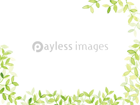 新緑 水彩 背景イラスト ストックフォトの定額制ペイレスイメージズ