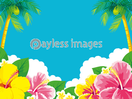 ハイビスカスとヤシの木 背景イラスト 商用利用可能な写真素材 イラスト素材ならストックフォトの定額制ペイレスイメージズ