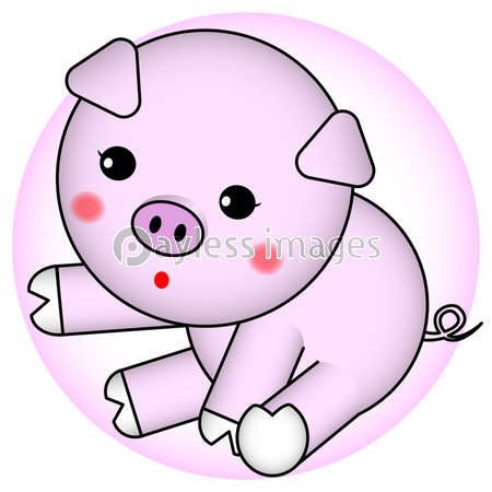 子豚のイラスト ストックフォトの定額制ペイレスイメージズ