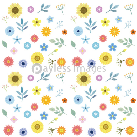 夏の花のパターンイラスト ストックフォトの定額制ペイレスイメージズ