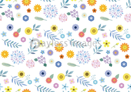 花の背景イラスト 白 ストックフォトの定額制ペイレスイメージズ